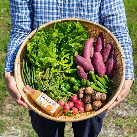 【ふるさと納税】佐賀産季節の旬野菜10種類とドレッシング：B016-039