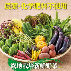 【ふるさと納税】佐賀産季節の旬野菜15種類（農薬・化学肥料不使用）：B150-008