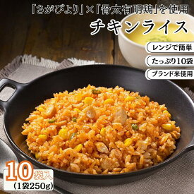 【ふるさと納税】JAさがオリジナルチキンライス 250g×10袋：B110-006