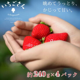 【ふるさと納税】佐賀県産 いちごさん 240g×4パック：B145-012