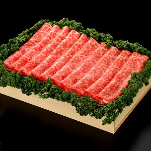 【ふるさと納税】佐賀牛モモスライス 400g:B230-004