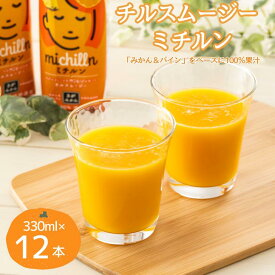 【ふるさと納税】チルスムージー ミチルン 330ml×12本：B110-050