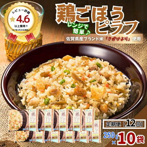 yӂ邳Ɣ[ŁzJAIWi{ڂst 250g×10܁yւI 3`12zFB110-041