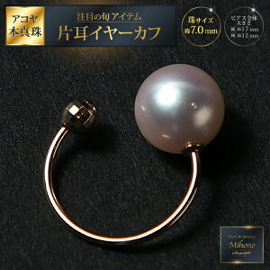 yӂ邳Ɣ[Łzڂ̏{ACeAR^C[Jt YGFB530-013