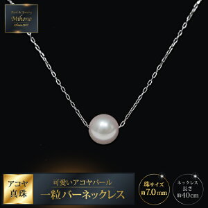 yӂ邳Ɣ[ŁzARp[ꗱo[lbNXFB930-004