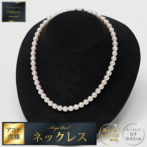 yӂ邳Ɣ[Łz42cm^~nAR^lbNXFC454-001