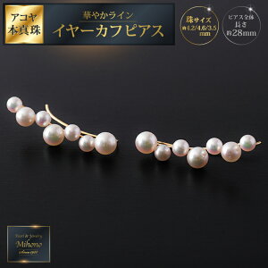 【ふるさと納税】華やかラインアコヤ真珠イヤーカフピアス:C223-002