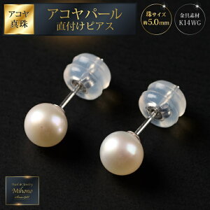 yӂ邳Ɣ[ŁzXxr[I5mmAR^쒼tsAXFB425-007