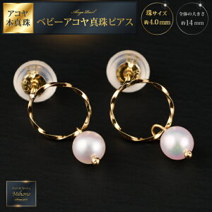 yӂ邳Ɣ[Łz肰Ȃhxr[AR^sAXYGFB715-003