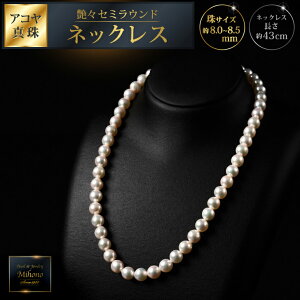 yӂ邳Ɣ[Łzyʋ͂zXZ~Eh8`8.5AR^lbNX 43cm WG[ ANZT[ lbNX ^ p[  s FC200-047