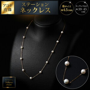 yӂ邳Ɣ[Łzi4.5mmAR^̃Xe[VlbNX 45cm WG[ ANZT[ lbNX ^ p[  s FC462-001