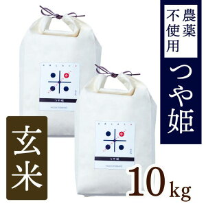 yӂ邳Ɣ[ŁzyVāzߘa7NY g}g|gĈĂuPv 5kg`10kgFB200-069