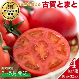 【ふるさと納税】【期間限定】栄養価コンテストでグランプリを受賞した「古賀とまと」 3月～5月発送 トマト 野菜 産地直送 佐賀県 佐賀市：B290-008