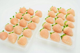 【ふるさと納税】【定期便6回】佐賀県産 3種いちご【1月～6月発送】：B775-001