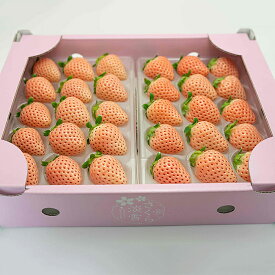 【ふるさと納税】【定期便5回】佐賀県産 淡雪【1月～5月】：B650-002