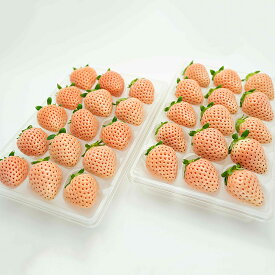 【ふるさと納税】【定期便3回】佐賀県産 3種いちご食べ比べ【1～3月発送】：B395-007