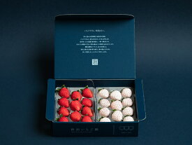 【ふるさと納税】佐賀県産いちご 赤いちごと白いちご 食べ比べセット：B140-067