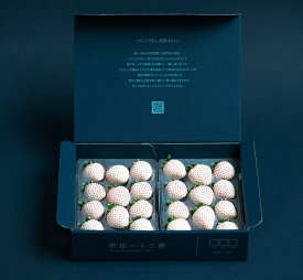 【ふるさと納税】【定期便3回】佐賀県産 紅白いちご食べ比べ【1～3月発送】：B395-004