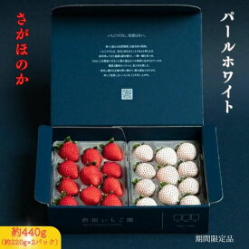 【ふるさと納税】佐賀県産いちご さがほのか＆パールホワイト 紅白セット：B140-008