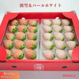 【ふるさと納税】佐賀県産 白いちご 淡雪＆パールホワイト：B180-035