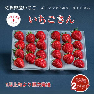【ふるさと納税】佐賀県産いちご いちごさん:B100-037