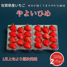 【ふるさと納税】佐賀県産いちご やよいひめ：B100-038