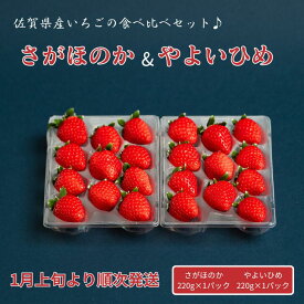【ふるさと納税】佐賀県産いちご さがほのか&やよいひめセット：B100-040