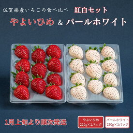【ふるさと納税】佐賀県産いちご やよいひめ&パールホワイト 紅白セット：B140-082
