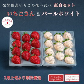 【ふるさと納税】佐賀県産いちご いちごさん&パールホワイト 紅白セット：B140-083