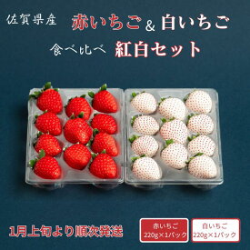 【ふるさと納税】佐賀県産いちご 赤いちご白いちご 紅白セット：B140-084