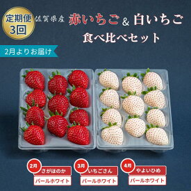 【ふるさと納税】【定期便3回】赤いちご白いちご食べ比べ（2月〜4月発送）：B395-013