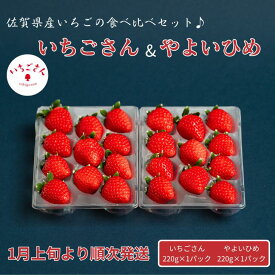 【ふるさと納税】佐賀県産いちご いちごさん&やよいひめセット：B100-041