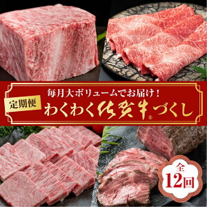 yӂ邳Ɣ[Łzy12z킭킭ꋍÂFD102-001