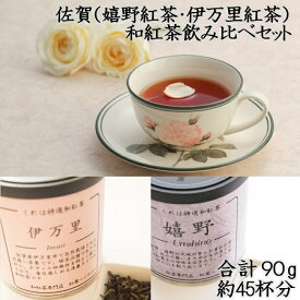【ふるさと納税】佐賀（嬉野紅茶・伊万里紅茶）和紅茶飲み比べセット：A085-030