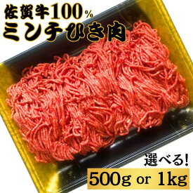 【ふるさと納税】佐賀牛100%ミンチひき肉 選べる 500g～1kg：B140-025