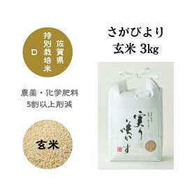 【ふるさと納税】「実り咲かす」佐賀県特別栽培さがびより 玄米3kg：A085-002