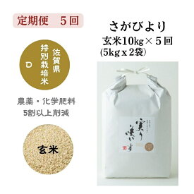 【ふるさと納税】【定期便5回】「実り咲かす」特別栽培 さがびより 玄米 10kg（計50kg）：C144-011