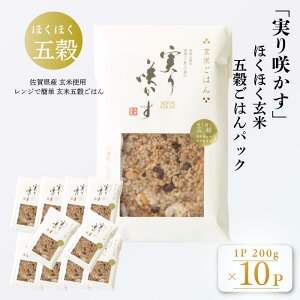【ふるさと納税】「実り咲かす」ほくほく玄米五穀ごはん(10P):B205-016