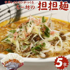 【ふるさと納税】ちー坊の担担麺（5食セット）：B185-008