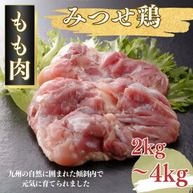 【ふるさと納税】みつせ鶏 正肉もも 選べる2kg・4kg：B175-010