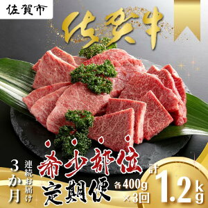yӂ邳Ɣ[Łzy3zꋍ 󏭕  3 Uug Opo C`{ Ƃ炵 ~XW gTJN JCm~ TT~ 400g×3 јa  uhFB595-001