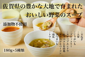 【ふるさと納税】KUREHAの【人に優しい佐賀野菜のスープ】5袋：B150-025