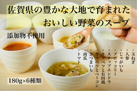 【ふるさと納税】KUREHAの【人に優しい佐賀野菜のスープ】6袋：B170-005