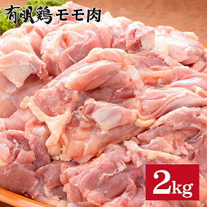 yӂ邳Ɣ[ŁzSM1A L{2KG!g낢喞:B140-036