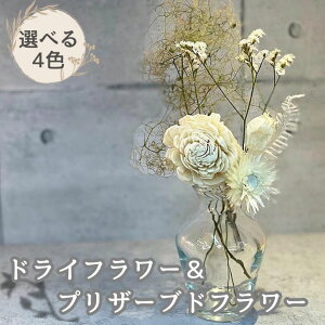 yӂ邳Ɣ[ŁzyIׂ邨FzhCvU[uht[FA085-005