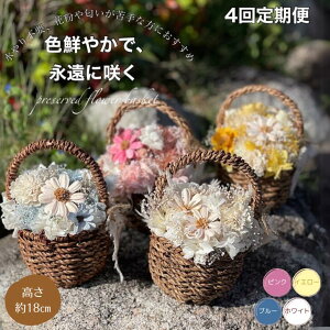 yӂ邳Ɣ[Łzy4ցzhCt[oXPbgAWFB865-003