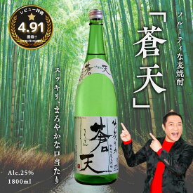 【ふるさと納税】佐嘉酒造　肥前竹炭麦焼酎　蒼天：A090-003