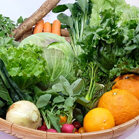 【ふるさと納税】旬の野菜と果物セット：B018-049