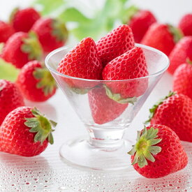 【ふるさと納税】【完熟・採れたて】 特別栽培 イチゴ 恋みのり 250g×4パック 1月中旬～4月発送 いちご 苺 果物 フルーツ 佐賀県 佐賀市 ：B130-049