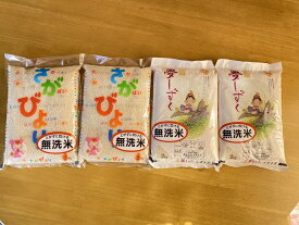 【ふるさと納税】C−134．佐賀県産米食べ比べセット【無洗米】